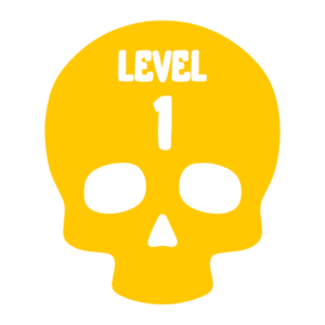 LEVEL 1