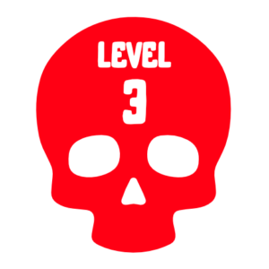 LEVEL 3