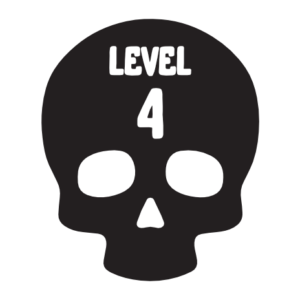 LEVEL 4